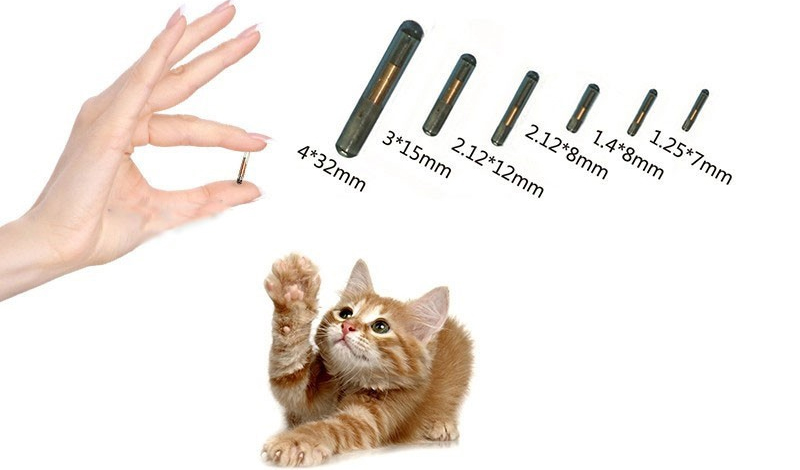 RFID-Katzenchip-Tags, Mikrochip-Kosten