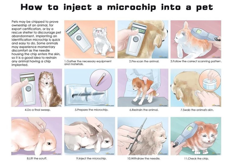 Injizieren Sie RFID-Mikrochip-Tags in das Haustier