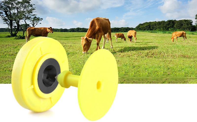Elektronische RFID-Ohrmarken für Rinder