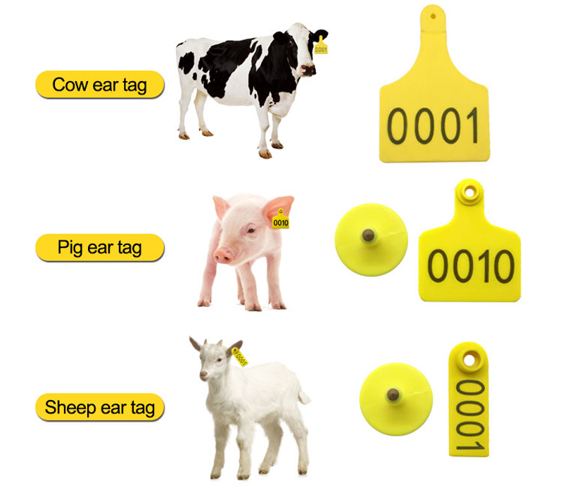 Hersteller von RFID-Ohrmarken für Kühe