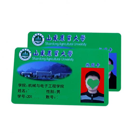 Full Color Printing College Student Identity Card School
