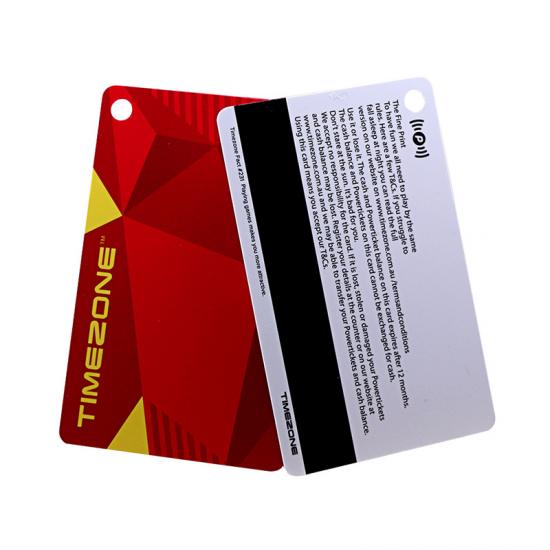 Composite Dual Chip Card